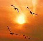 libertad